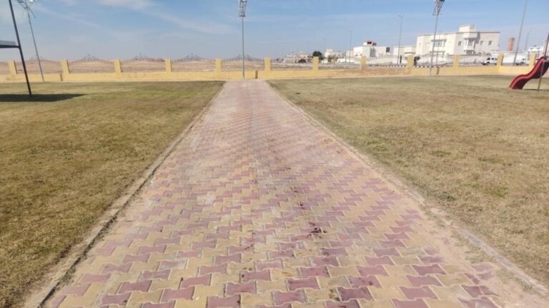 E8e9b21b 0b47 4dab bd24 3a21e06bddcb file.jpg