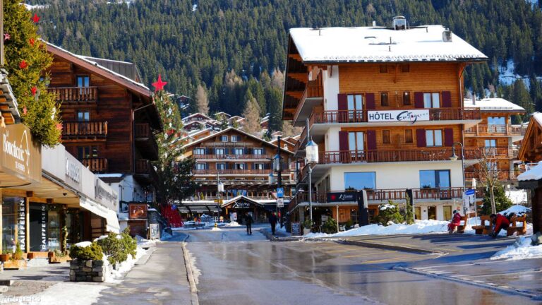 Ed2d8151 955e 42da ae60 77026af879ca file.jpeg