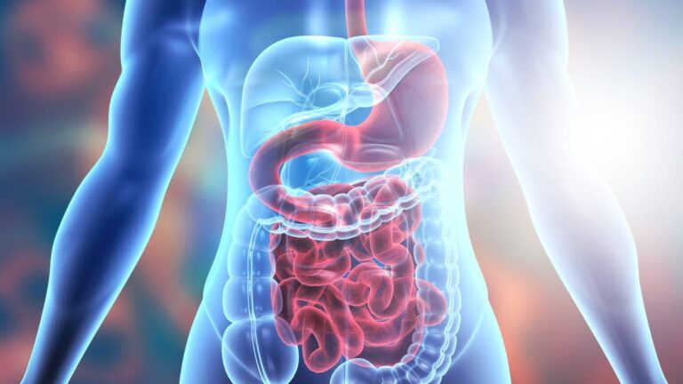 F06b93f3 eadd 424c 82a4 677c5b19f108 file.jpg