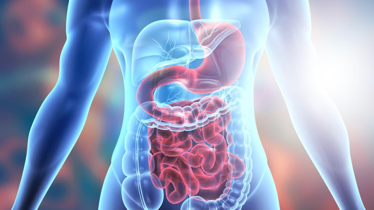 F06b93f3 eadd 424c 82a4 677c5b19f108 file.jpg