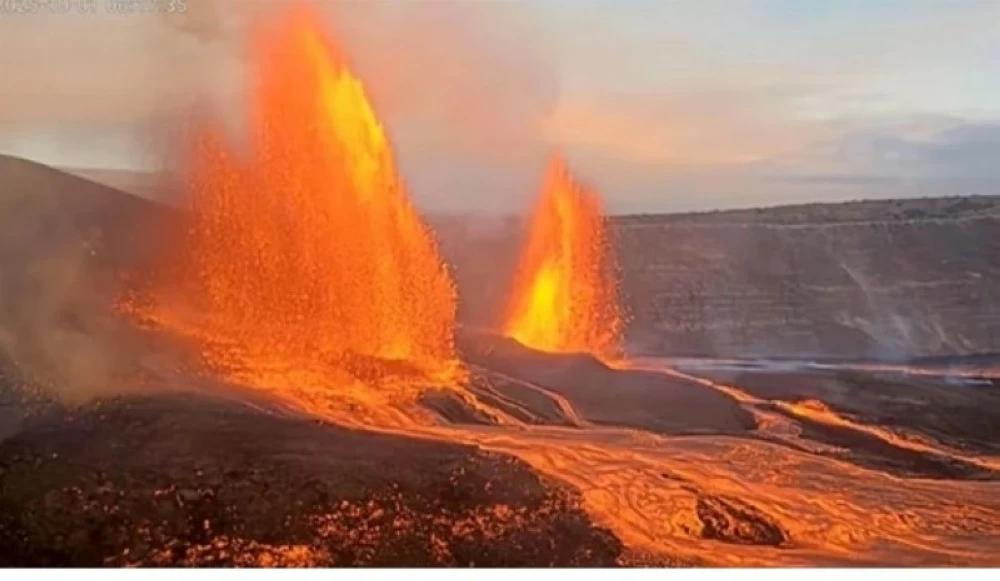 F0eb6dfc a4e0 4d08 9bbc 17efc261554a file.jpg