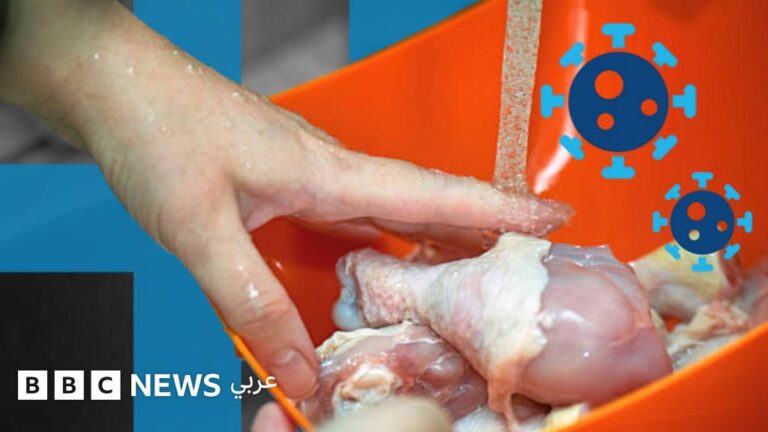 F10dfdd8 8f0f 4035 a495 f461ef4069bc file.jpg