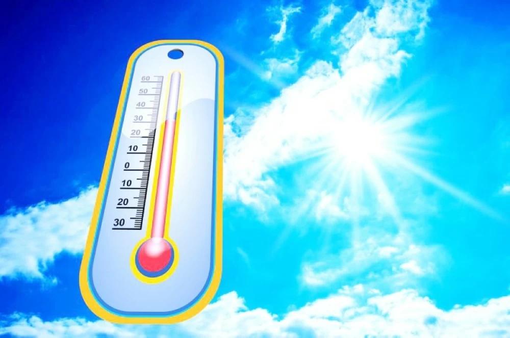 F73dae7f 1611 4779 9967 8fbebf39af24 file.jpg