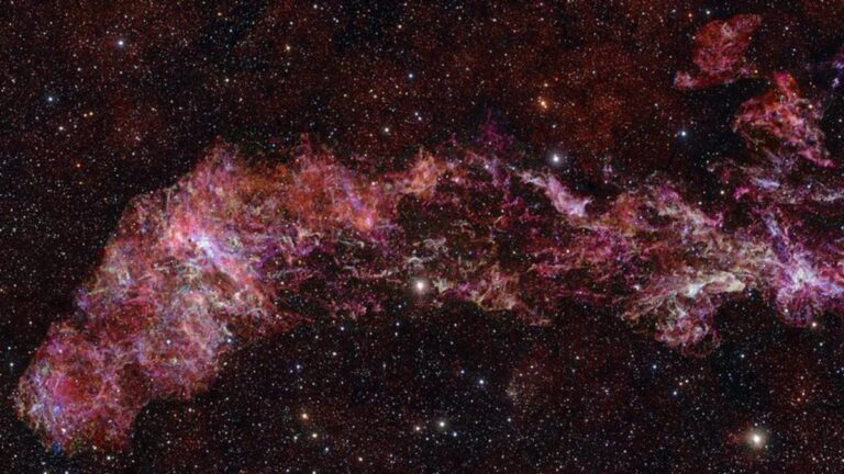 F9bc03e8 70d5 4e74 81db ba6a6203ecba file.jpg