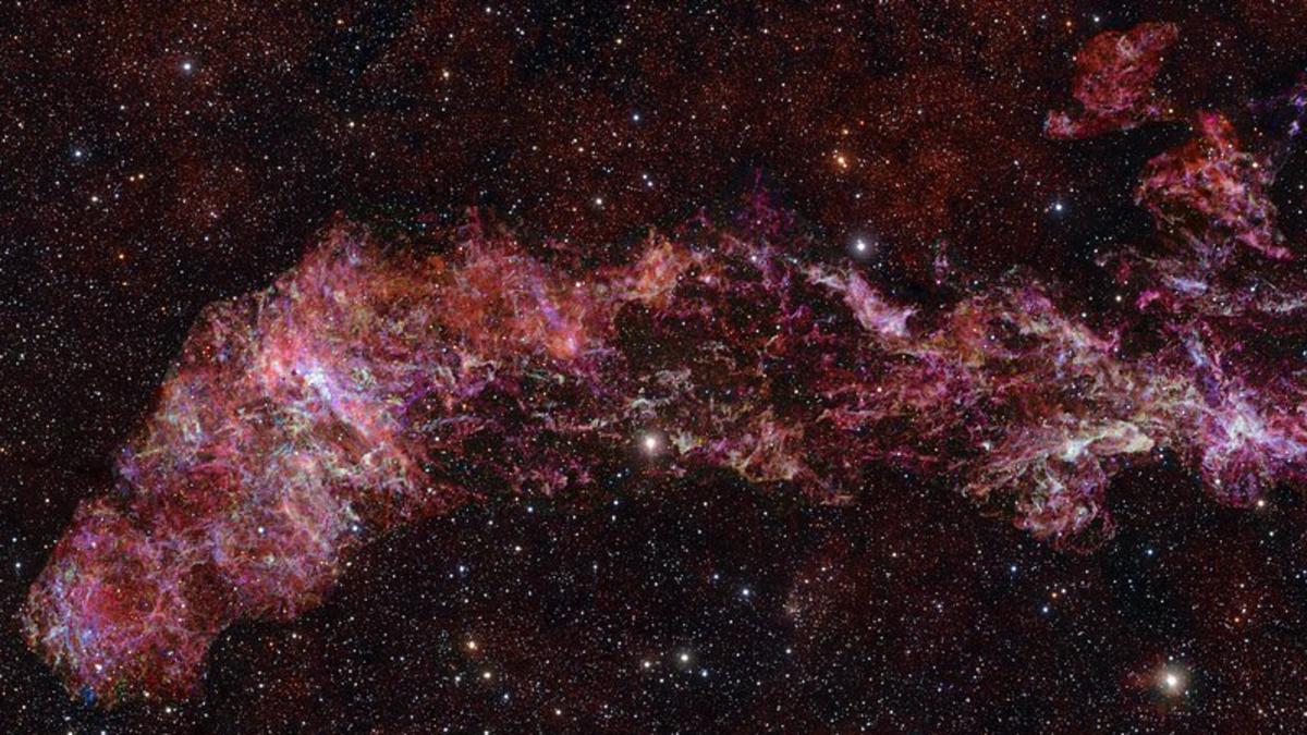 F9bc03e8 70d5 4e74 81db ba6a6203ecba file.jpg