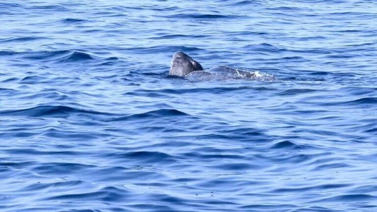 F9f66ed4 ec81 4b30 92d6 35a1e4f43b5e file.jpg