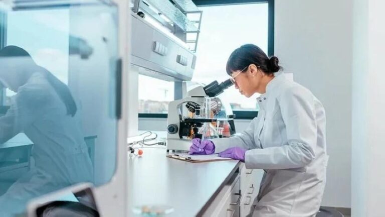 Fa2ef772 525d 416c 81b8 f1f34b98c1c1 file.jpg