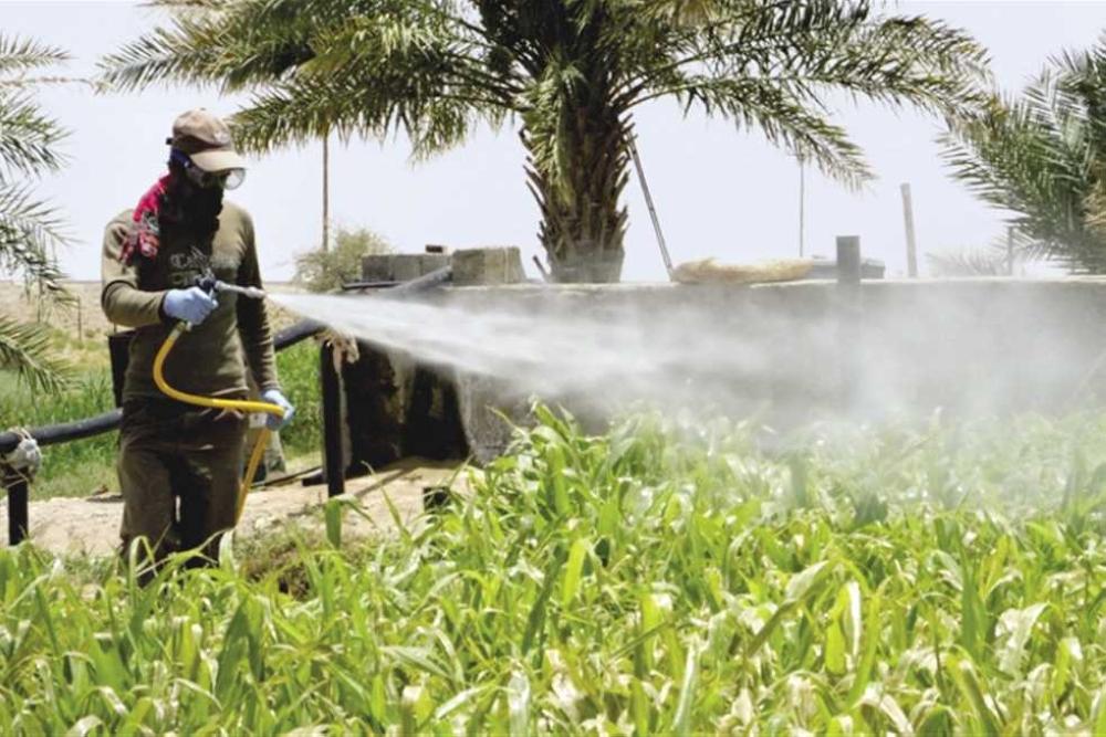 Fe6b9f9a 2719 4e57 ace4 4bbe6de29c9c file.jpg