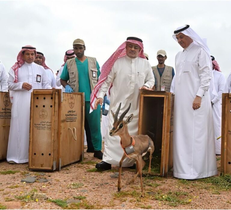 Feb5a4a7 90a2 4806 852e c14942195e7b file.jpg