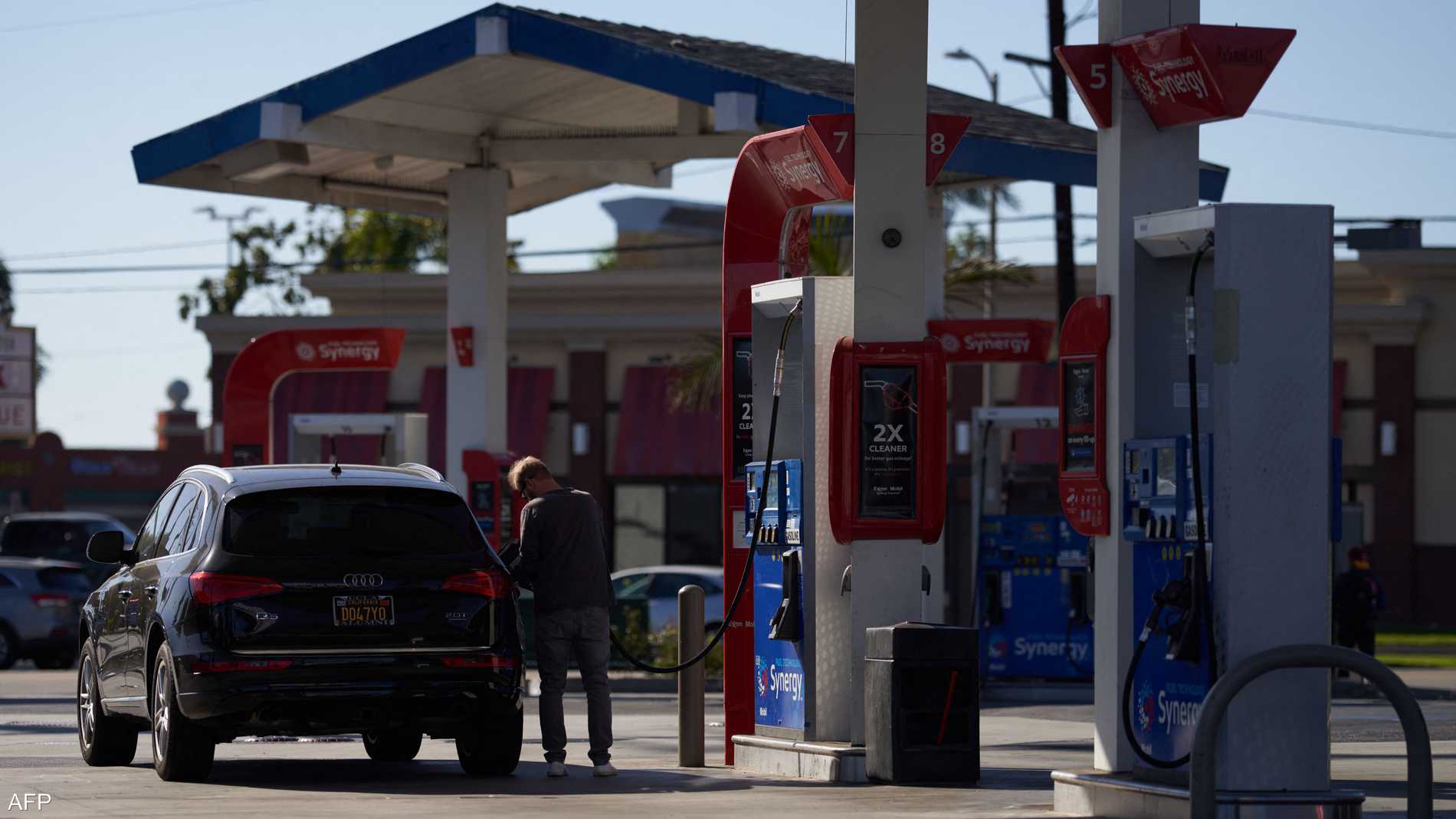 03d8652d d2de 41ea a6af a3e3af2bd374 file.jpeg