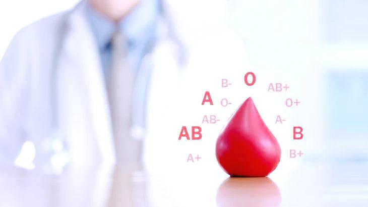 094716b9 b248 4abc b755 3d50cc9af174 file.jpg