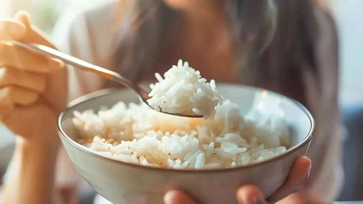 0f2c23ab 0ebd 49b6 bfb2 51e2c9db9e5a file.jpg