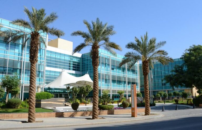 0fc546b9 249c 45d6 b248 1f75d12e069f file.jpg