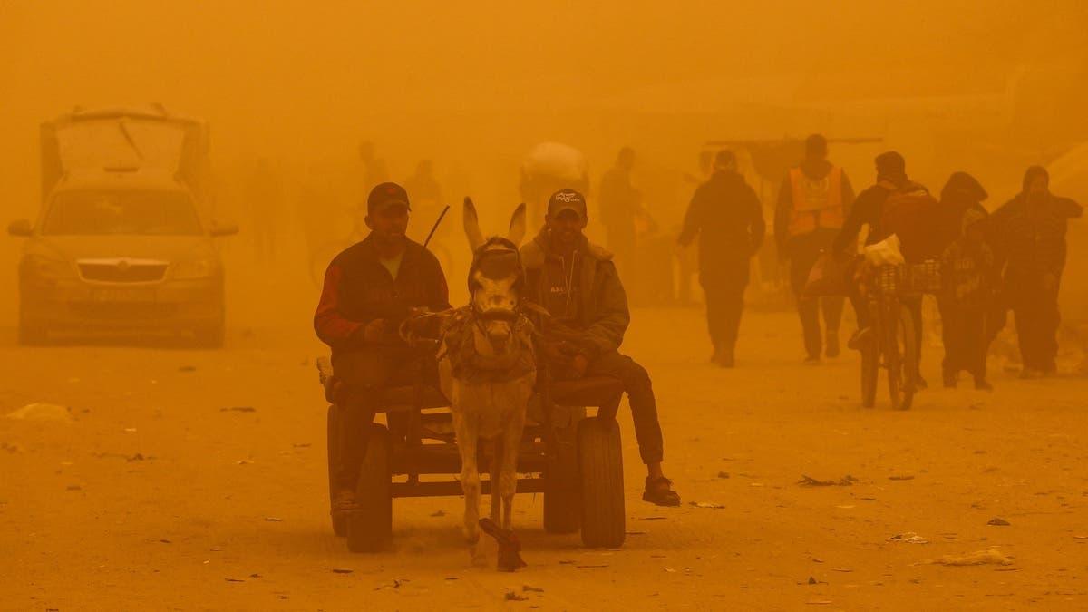 124bbe67 fc35 400a 9edf 8b2b9d271597 file.jpg