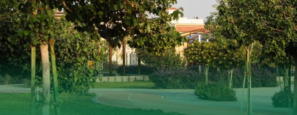 14755480 0f80 44dc af46 093ec08ee573 file.jpg