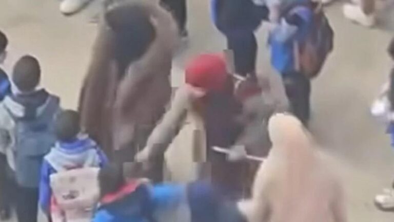 14ba77b2 1d17 4676 8c56 6f19ee107ebf file.jpg