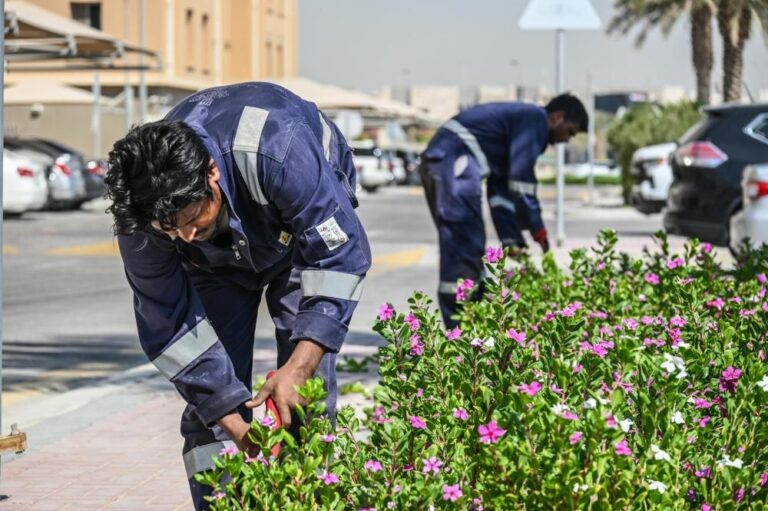 14cd2c39 e0b2 4c0d a9c7 3ac84313b26c file.jpg