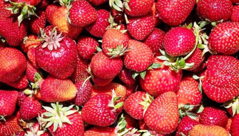 199056fe c908 4f87 9bf8 e669a5964336 file.jpg