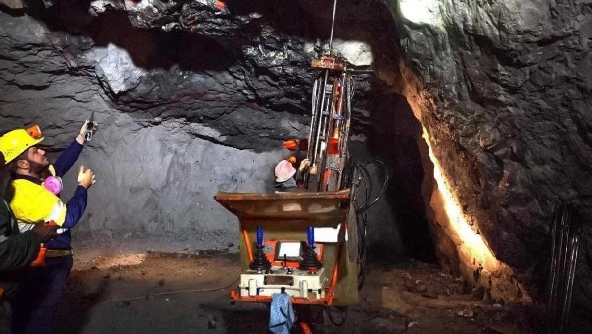 1c2834a0 a908 4341 81d8 1d7ceed39dd2 file.jpg