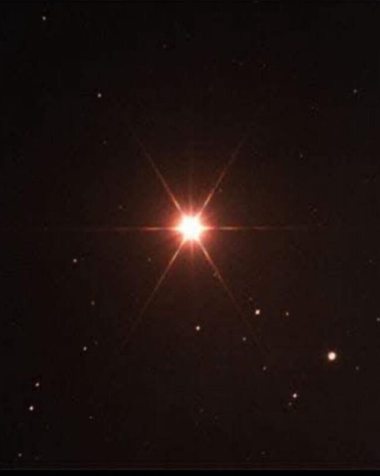 1ea618a1 f866 4311 aeee c5795185e233 file.jpg