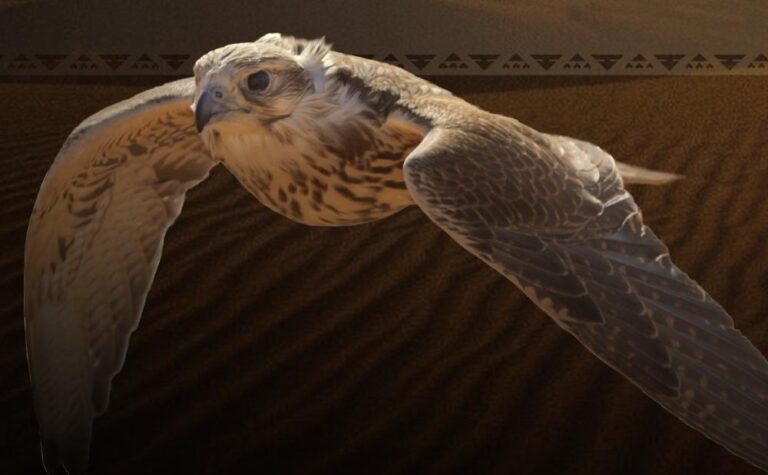 22a55989 0425 47b0 b375 2e3370755884 file.jpg