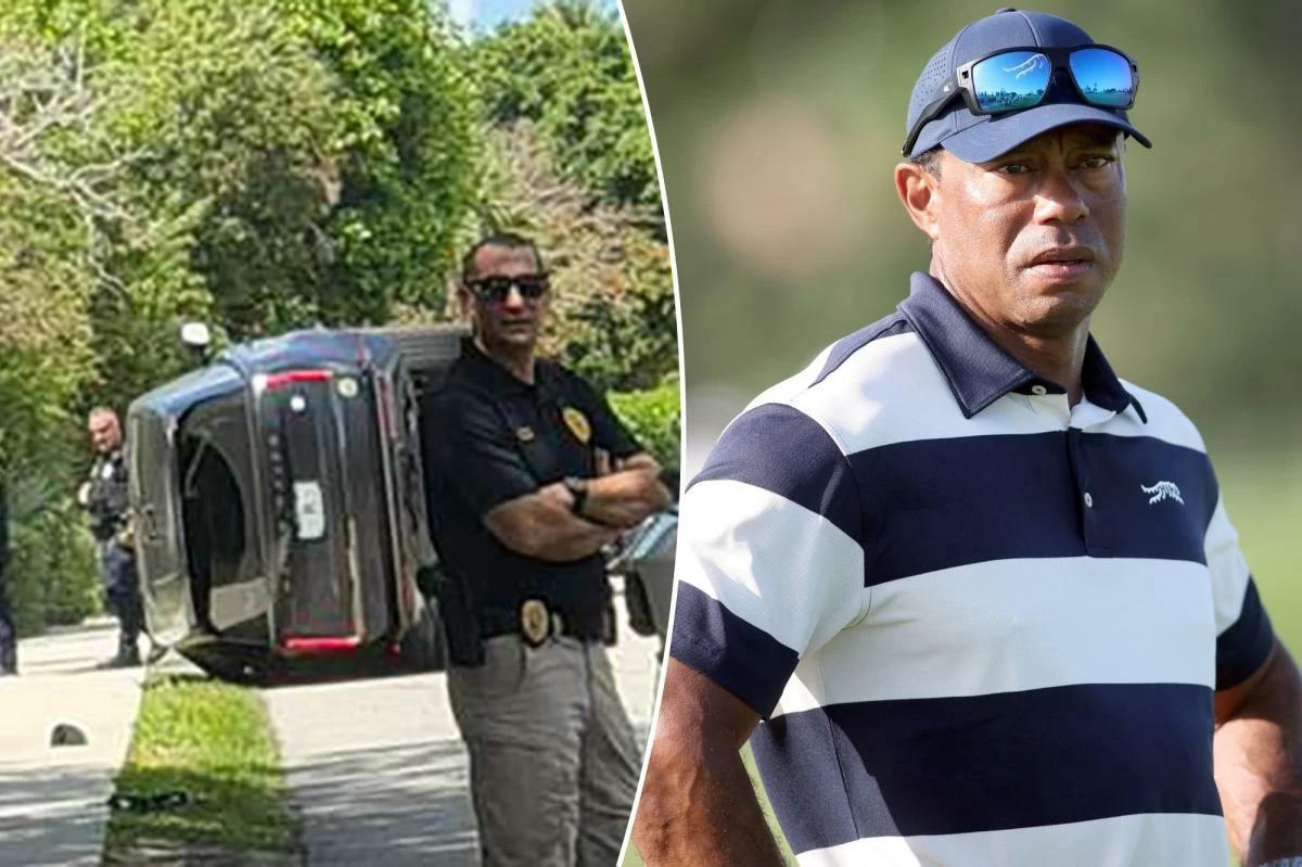 22e41918 62f7 469c b9f1 a7afd76368f5 file.jpg