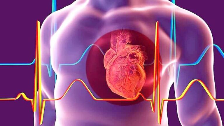 24e8f4b5 7cdd 4c20 a14d 1564605c0689 file.jpg