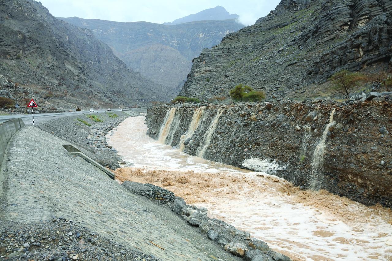 251dea83 b656 42cf 8cc7 7ea1630c6650 file.jpg