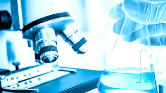 25fcb722 175a 4b06 afb2 8a1502642f8b file.jpg