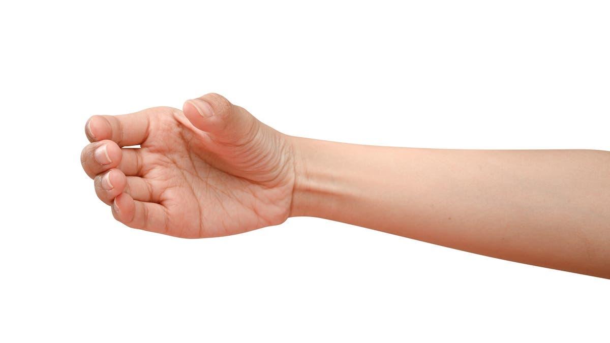 268d0589 c1cd 45e6 a36e d8527cf6e4e3 file.jpg