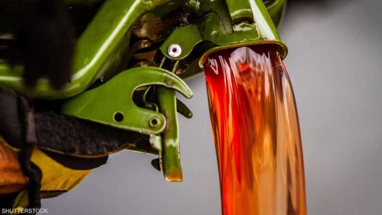 26ce4dc8 bba1 491a b8ee ebedf9e6467f file.jpeg