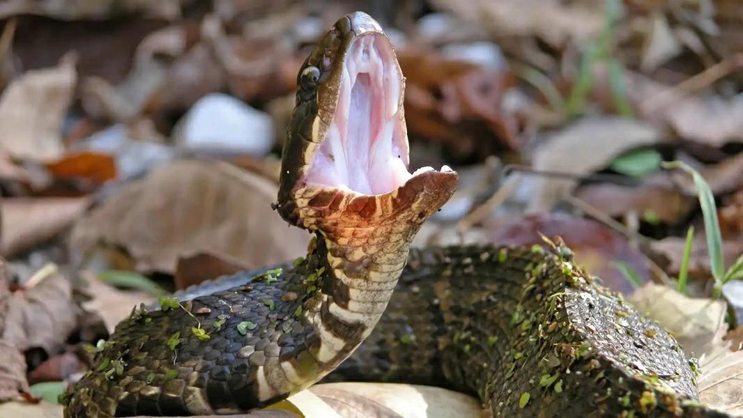 275cec20 a007 47f0 a88e f9e02887cb2a file.jpg