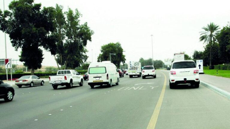 286e1c54 302d 410d 9559 d0acc0f50a14 file.jpg