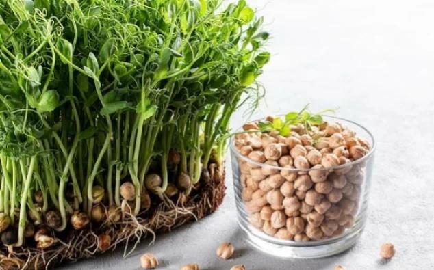 2a2cd978 cfa2 4563 a5ef f98d872994dc file.jpg