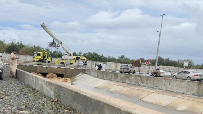 2e0fa10b bd07 49a0 8d3d b54267069ee0 file.jpg