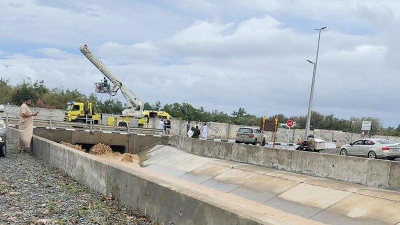 2e0fa10b bd07 49a0 8d3d b54267069ee0 file.jpg