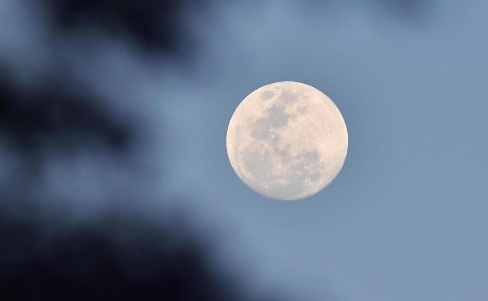 2f1ade32 4f44 4184 b216 f10645688cbd file.jpg