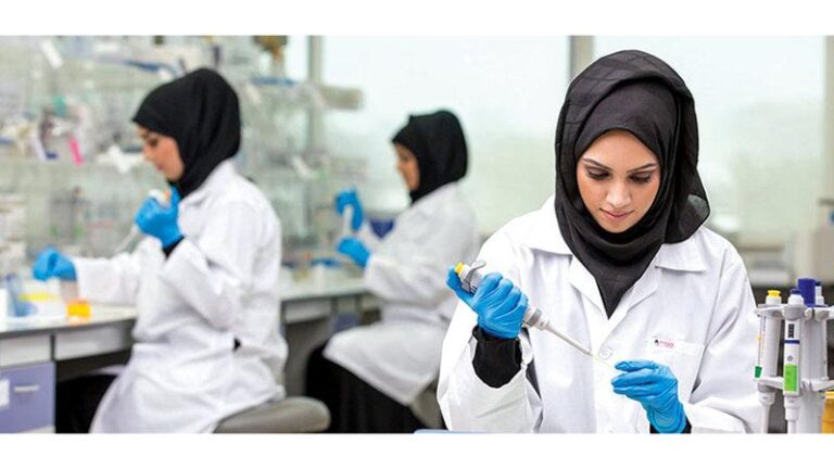 31be4d6d 6142 43c2 9a13 663810d71adc file.jpg