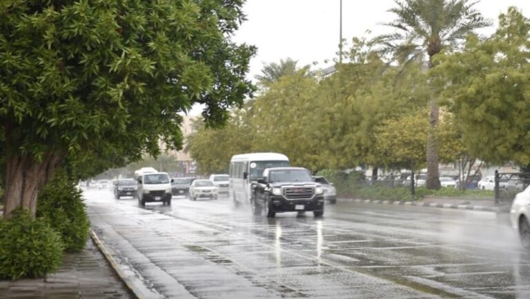 323d3e5b 2735 41b6 af6b 0992dc3c3aad file.jpg