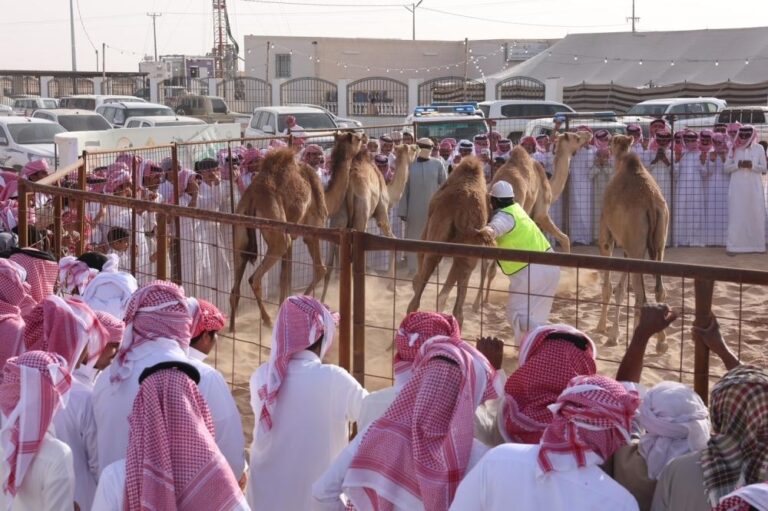 327e8474 beef 47bc 8241 14c57c6cbcc0 file.jpg