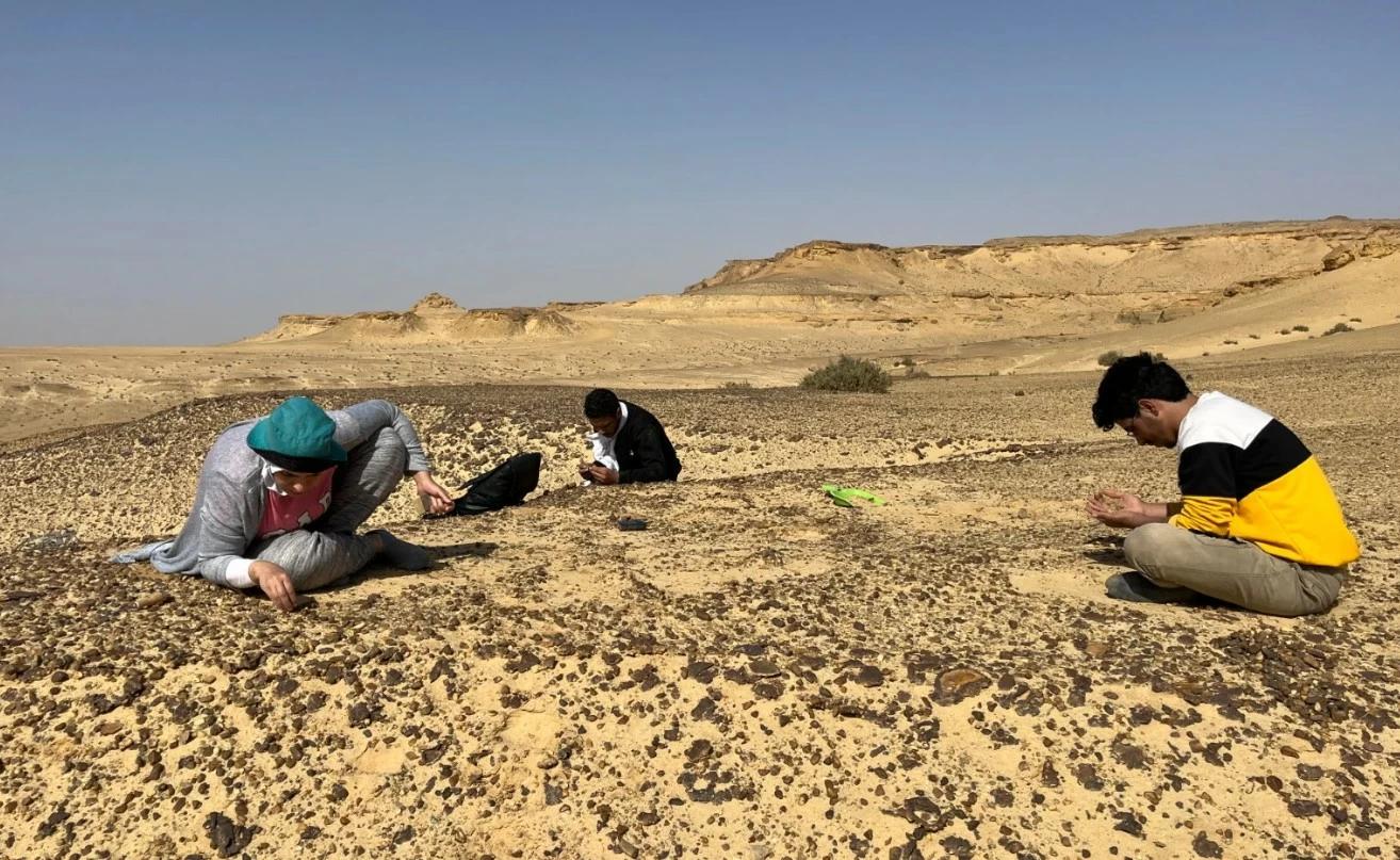 32c45d22 2422 42b2 9825 ea283082451b file.jpg