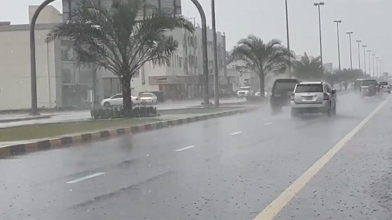 32ccefbd 035f 44fe 95c5 ce7d9fbcfd42 file.jpg