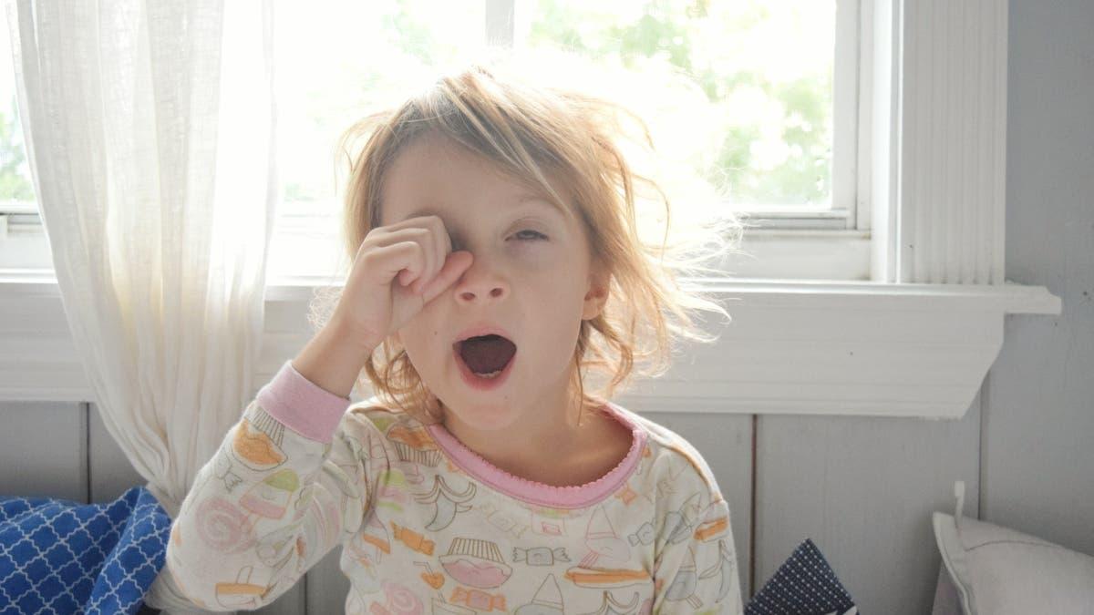 3462cf09 1b81 4c8d 9af6 dcda3b022056 file.jpg