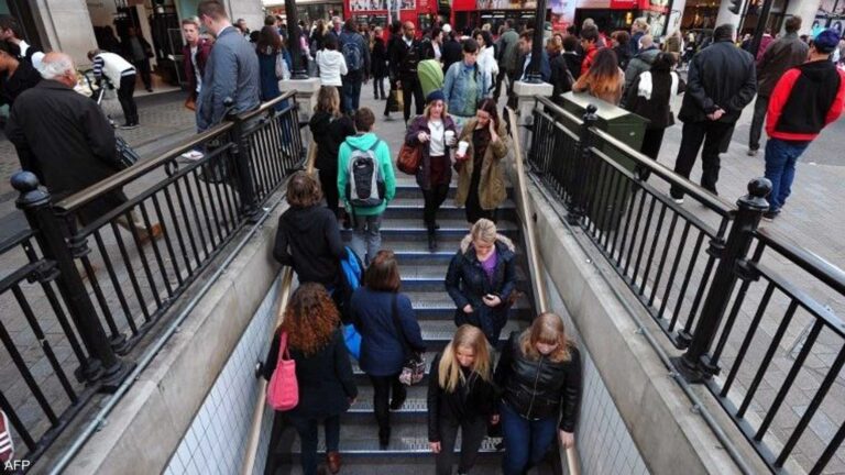 35dd86df e62b 4b57 814b 14e24de0397c file.jpeg