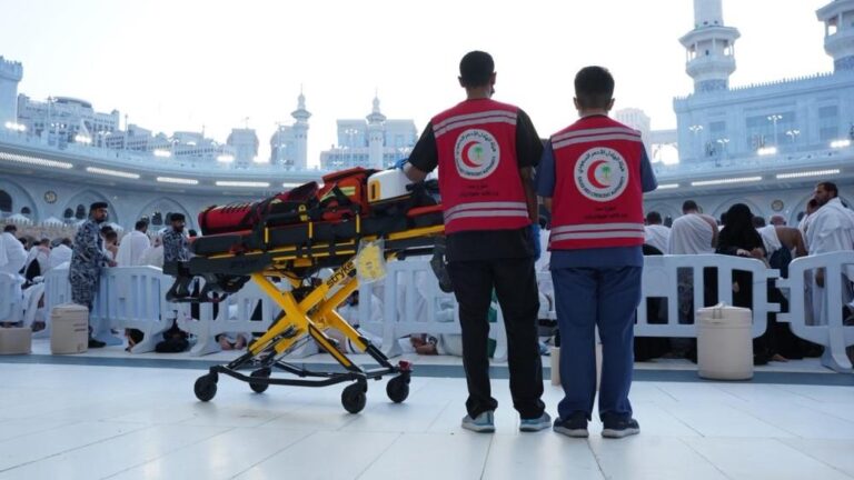 3bc170bd 1d81 44b2 9f95 b6576aa49fe5 file.jpg