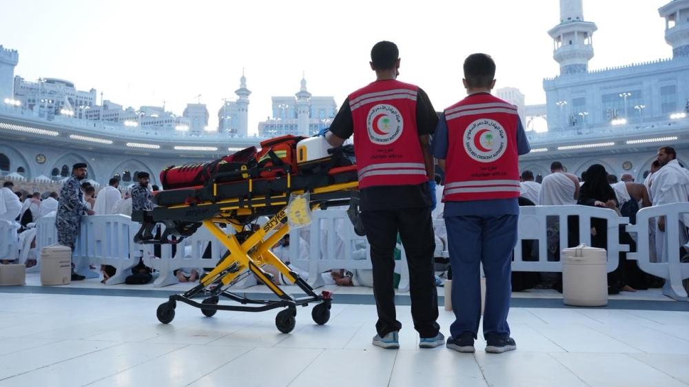 3bc170bd 1d81 44b2 9f95 b6576aa49fe5 file.jpg