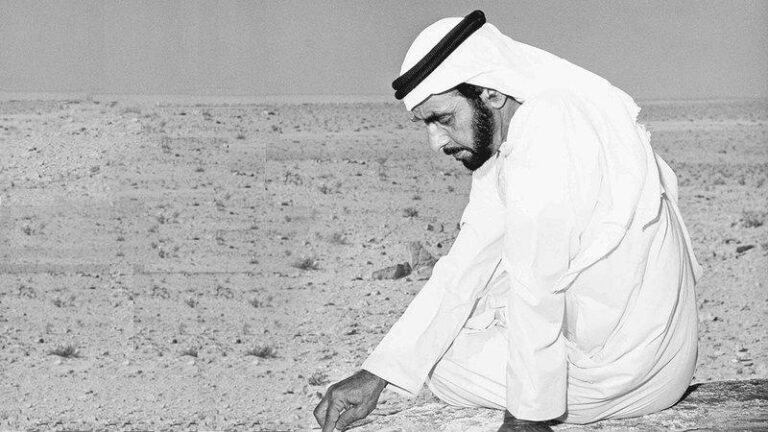 3c3cb732 d469 4458 9392 a3710e5d62a9 file.jpg