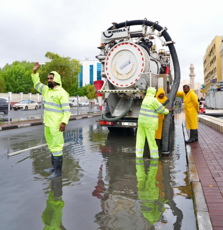 3fe6acdd 242b 4648 ae3e 99448784a4d8 file.jpg