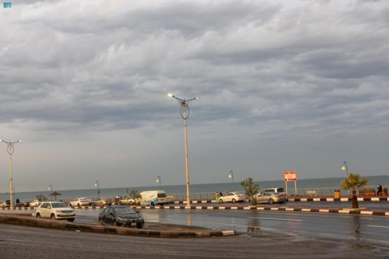 411b455f e15d 4e5e 9956 820c2007c80d file.jpg