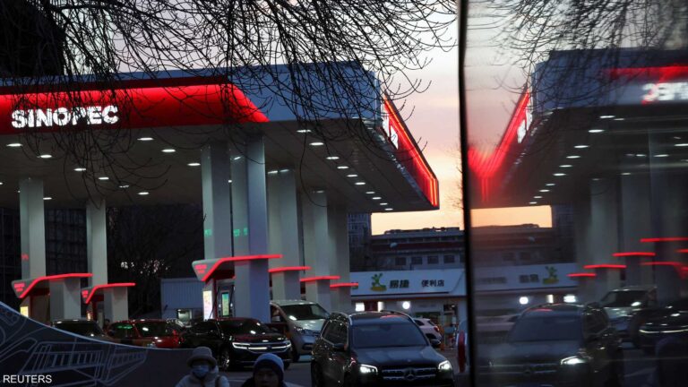 41d961be e91a 4a1e 9c8b 059233e3f7b1 file.jpeg